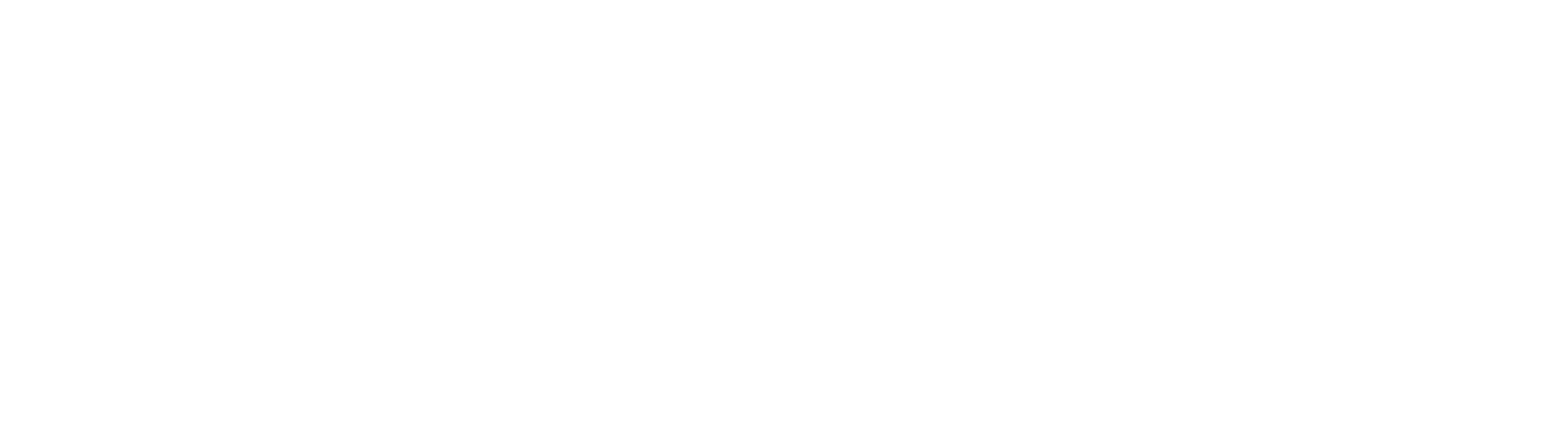 Revive Tech Services